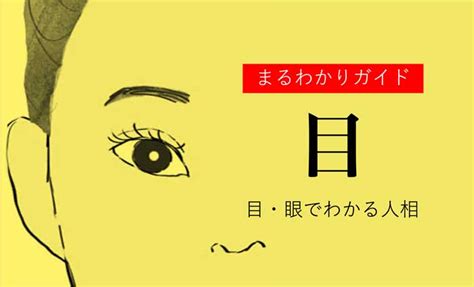 象眼 人相|【人相学】目の形24種類で性格や将来性がわかる！あなたの未来。